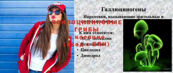мдма Дмитриев