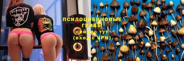 мдма Дмитриев