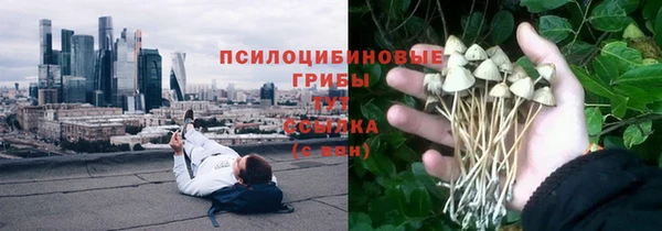 мдма Дмитриев